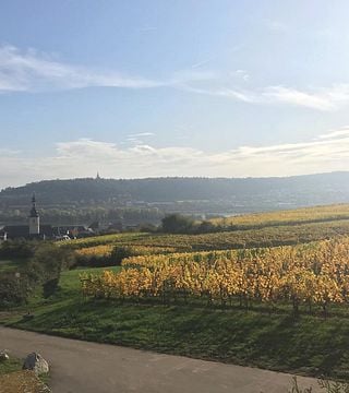 Dégustation de vins et visite au Weingut Adolf Störzel