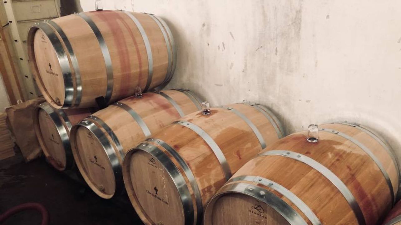 Dégustation et visite de vins au Clos La Petite Croix