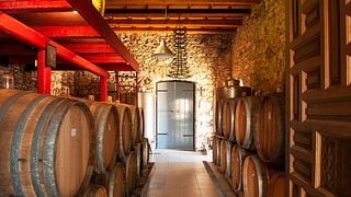 Visite guidée et dégustation au domaine viticole Montofoli