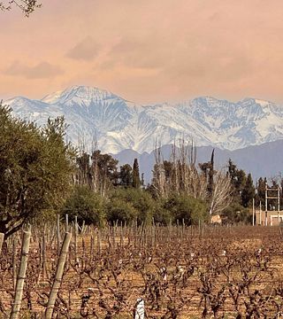 Bodega Familia Cassone