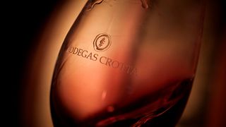 Degustazione di vini e tour a Bodegas Y Viñedos Crotta