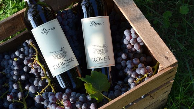 Alla scoperta dei Colli Berici | Degustação de vinhos na Cantina Pegoraro