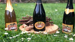 Vinprovning och rundtur på St. Laurentius Sekt Gmbh