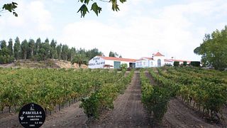 Degustação de vinhos e visita à Quinta Da Vassala