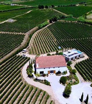 Visita à vinícola, degustação de vinhos e gastronomia.