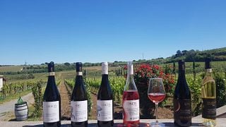 Organic Wine Journey in Lazio's Volcanic Vineyards