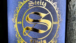 Vineyard Tour and Wine Tasting at Weingut Steitz