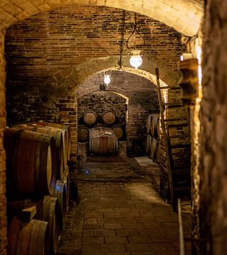 Degustação de vinhos e tour na Fattoria Poggio Capponi