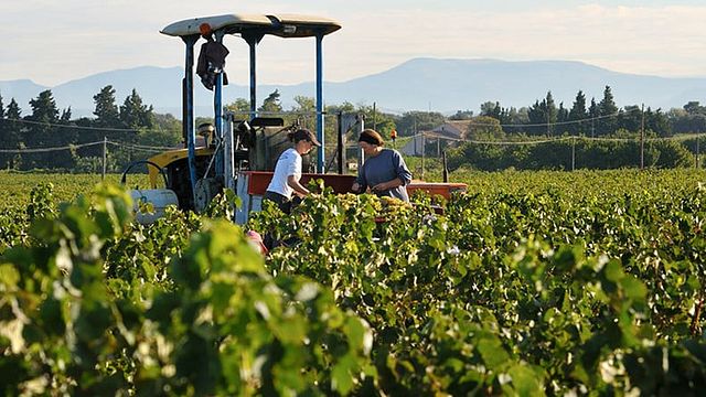 Degustazione di vini e visita al Domaine des Chanssaud