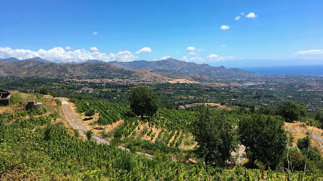 Cantina del Malandrino