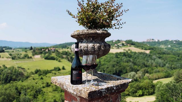Dégustation de vins et visite au Castello di Grillano