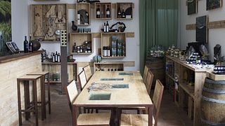 Degustação de vinhos e tour em I Girasoli Di Sant'andrea