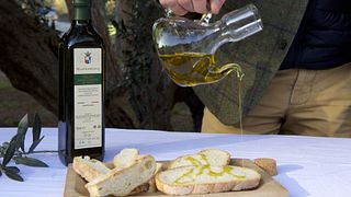Cantina Mazzarosa: A Legacy of Sustainable Winemaking