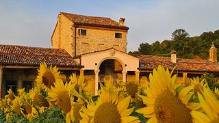 Besuch und Weinprobe in Costalungavini