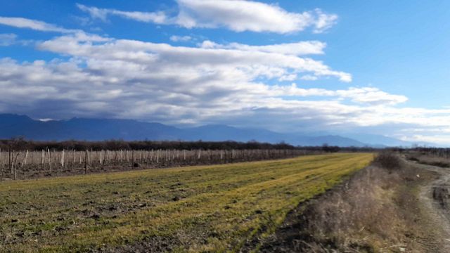 Weinprobe und Tour im Akhmeta Wine House