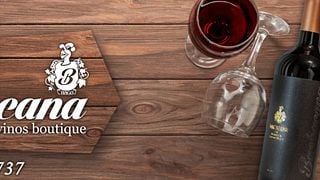 Dégustation de vins à Barbacana