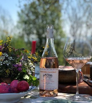 Cata de vinos y visita guiada en Marchesi Pancrazi