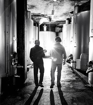 Degustazione di vini e tour al Cave Spring Vineyard