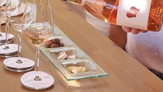Aegean Islands Wine Journey at Ktima Akrani