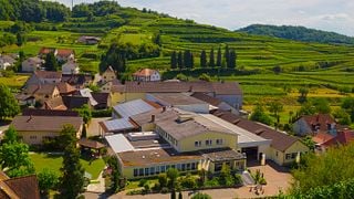 Baden Wine Cellar Tour & Tasting at Bickensohler