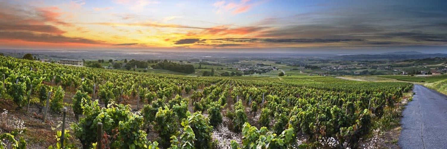 Beaujolais