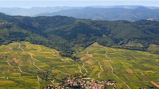 Kuentz-Bas Winery