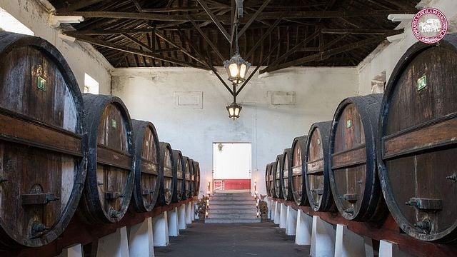 Beliebte Weinprobe und Tour im Quinta Do Sanguinhal