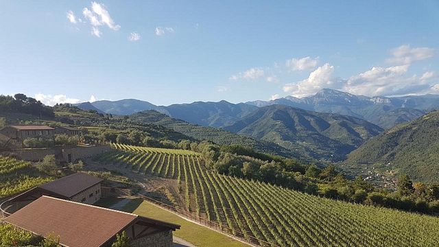 Dégustation de vins chez Altavia