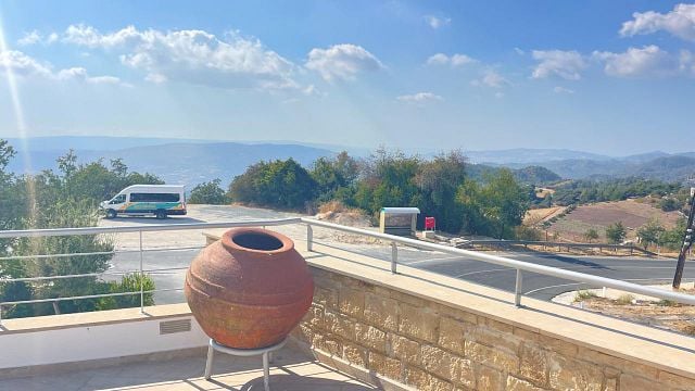 Från vinstock till vin – Inhemska druvor och ekologiska vingårdar i Paphos vinbyar