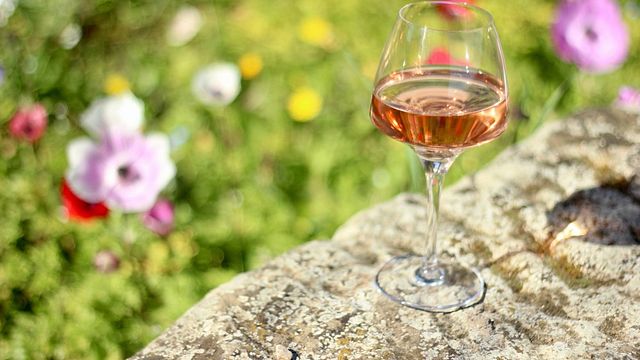 Biodynamic Languedoc-Roussillon Wine Journey