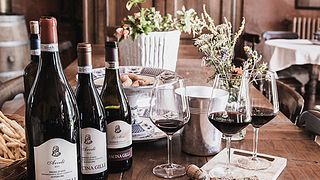 Cata de vinos y visita guiada a Cascina Gilli