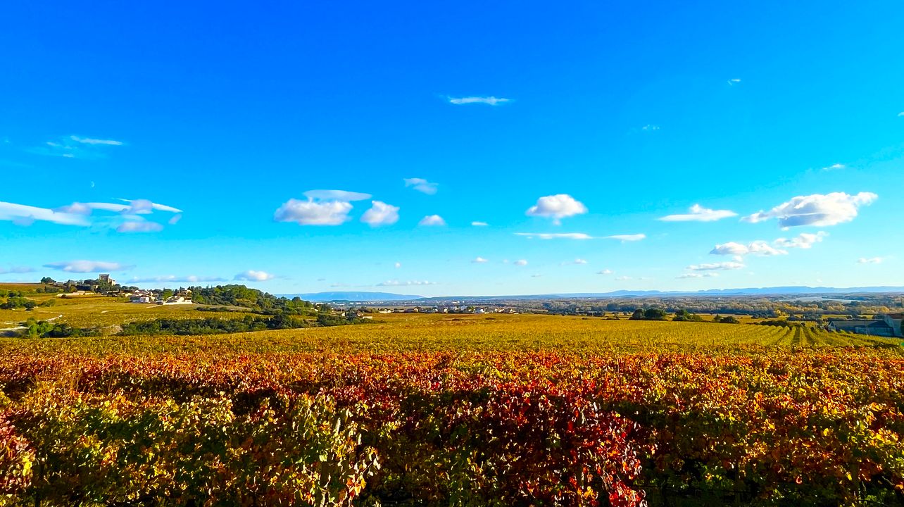 Manhã de degustação de vinhos em 2 adegas de Châteauneuf du Pape