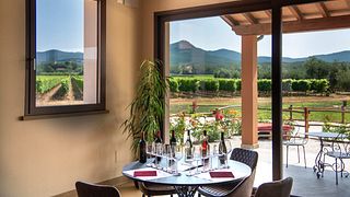 Klassische Weinprobe im Tenuta di Vaira