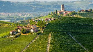  Tour privado en bicicleta eléctrica " Langhe del Barbaresco " - Solo asfalto