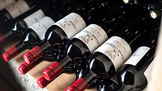 Premium vinprovning och rundtur på Marani Milorauli