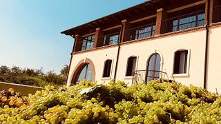 Canoso Winery