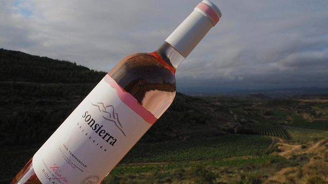 Premium-Weinprobe und Tour bei Viñedos De Sonsierra