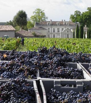 Atelier olfactif et dégustation de vins au Château de la Dauphine