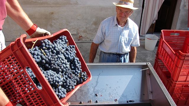 Barbera d'Asti vertical: three vintages, a journey through time