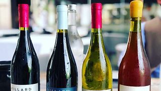 Visite du vignoble Tanagra et dégustation de vin