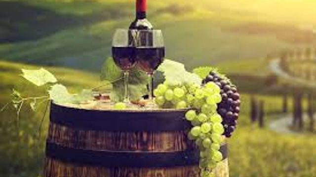Ruta del vino Chianti