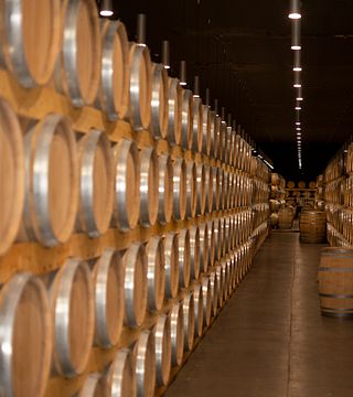 Esperienza di abbinamento Tinto Fino 