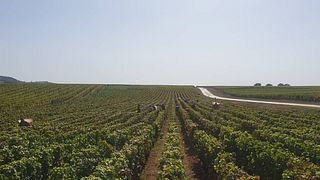 Groupes et Séminaires au Domaine Jeannot