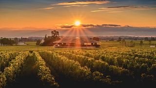 Tour e degustazione di vini premium al Domaine de Rombeau