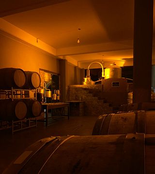 Viñedos y Bodega Boutique Daroca