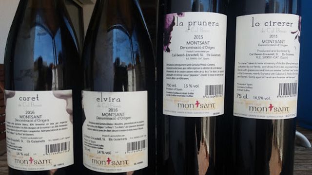 Cata y visita de vinos en Cal Bessó