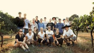 Brokenwood Wines