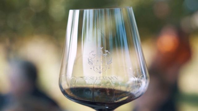 Vinprovning och rundtur på Weingut Gesellmann