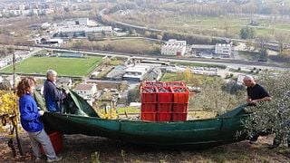 Weinprobe und Tour im Le Strie