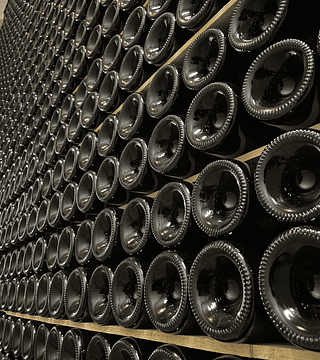 Vigneti Cenci Winery